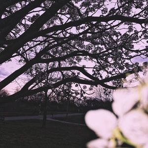 Meet your Posher, Paige